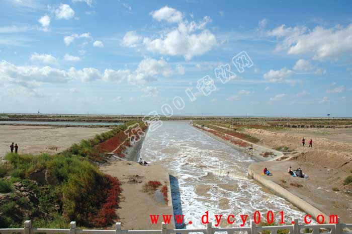 东营海边美景照片欣赏---2011国庆记者游记